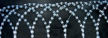 Razor Mesh