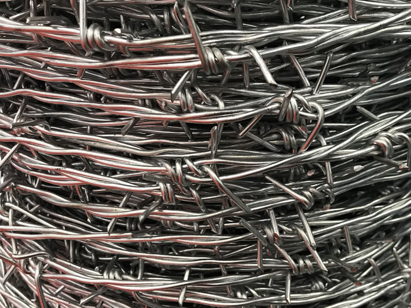 Barbed Wire