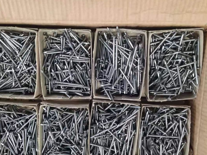 Common Iron Nails
