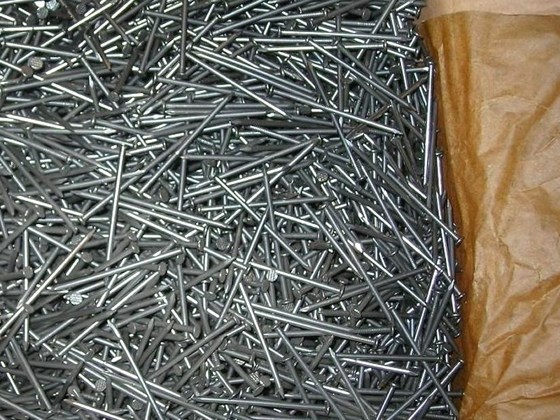 Galvanized Common Nails 
